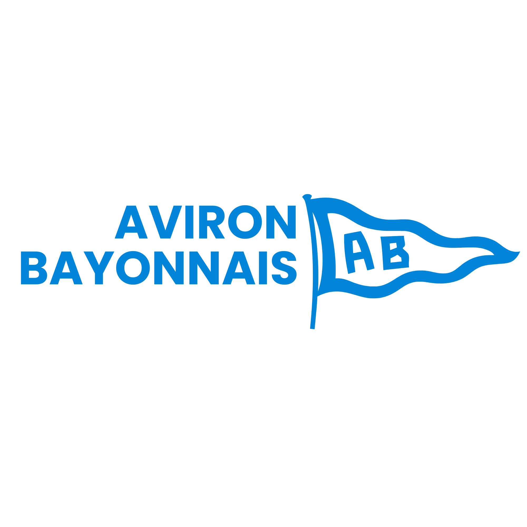 Logo du club "Aviron Bayonnais — section aviron"