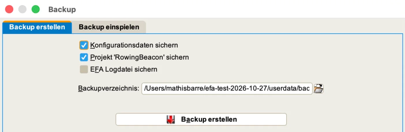Reiter „Backup erstellen“ von efa2, mit angehakten Kästchen „Konfigurationsdaten sichern“ und „Projekt sichern“