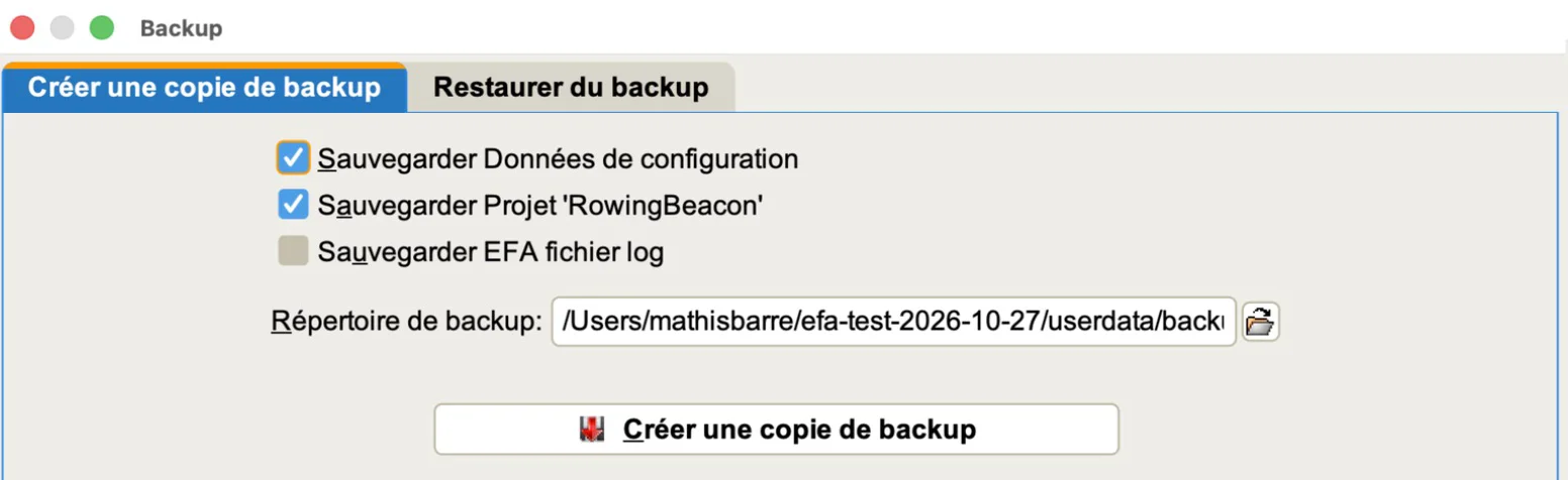 Onglet « Créer une copie de backup » d’efa2, avec les cases Données de configuration et Projet cochées